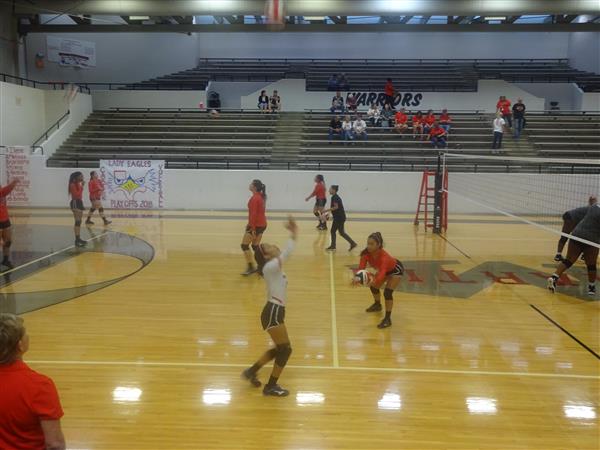 Volleyball 5